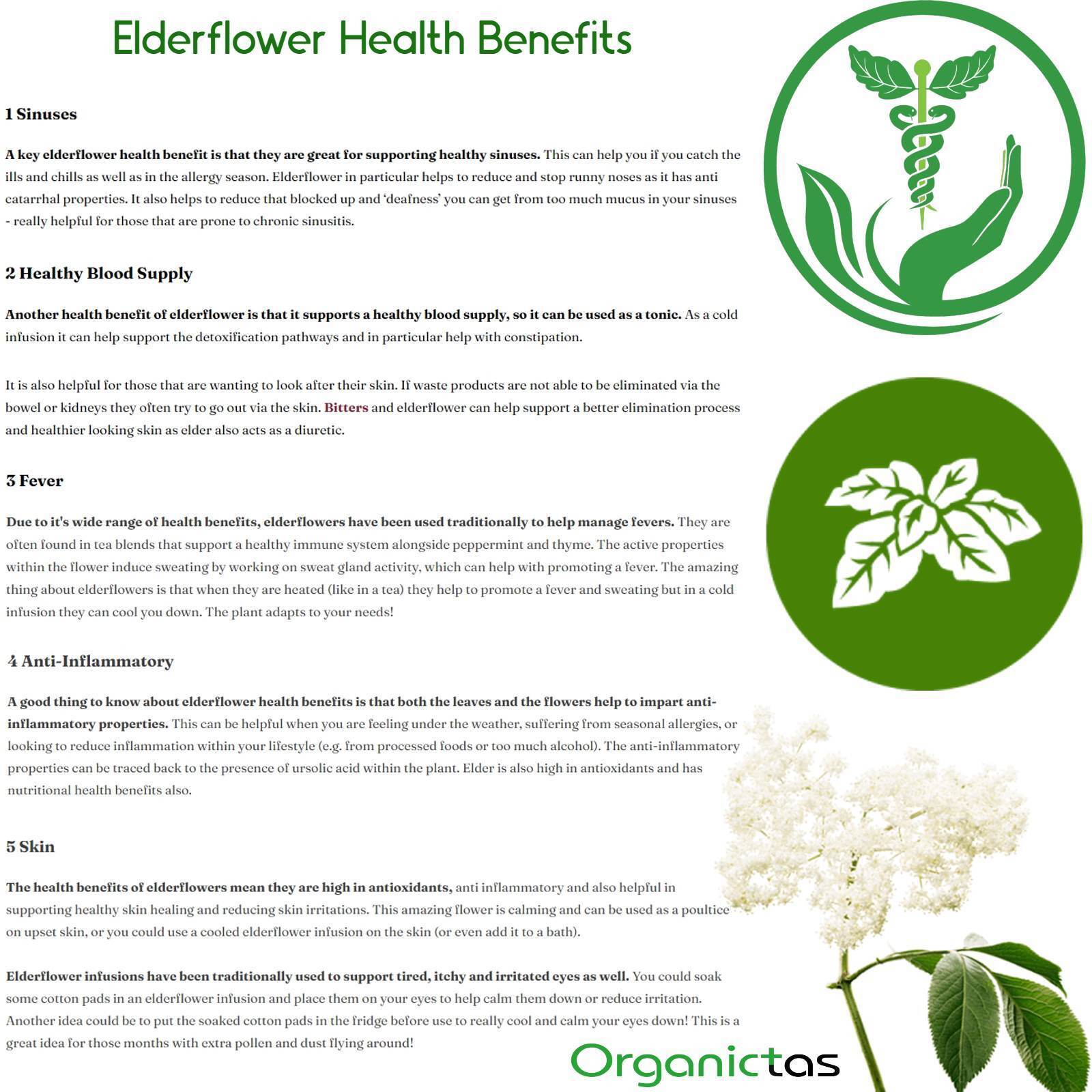 Organic Elder Flowers Tea Wild Harvest Elderflower Sambucus Nigra Dried Flower