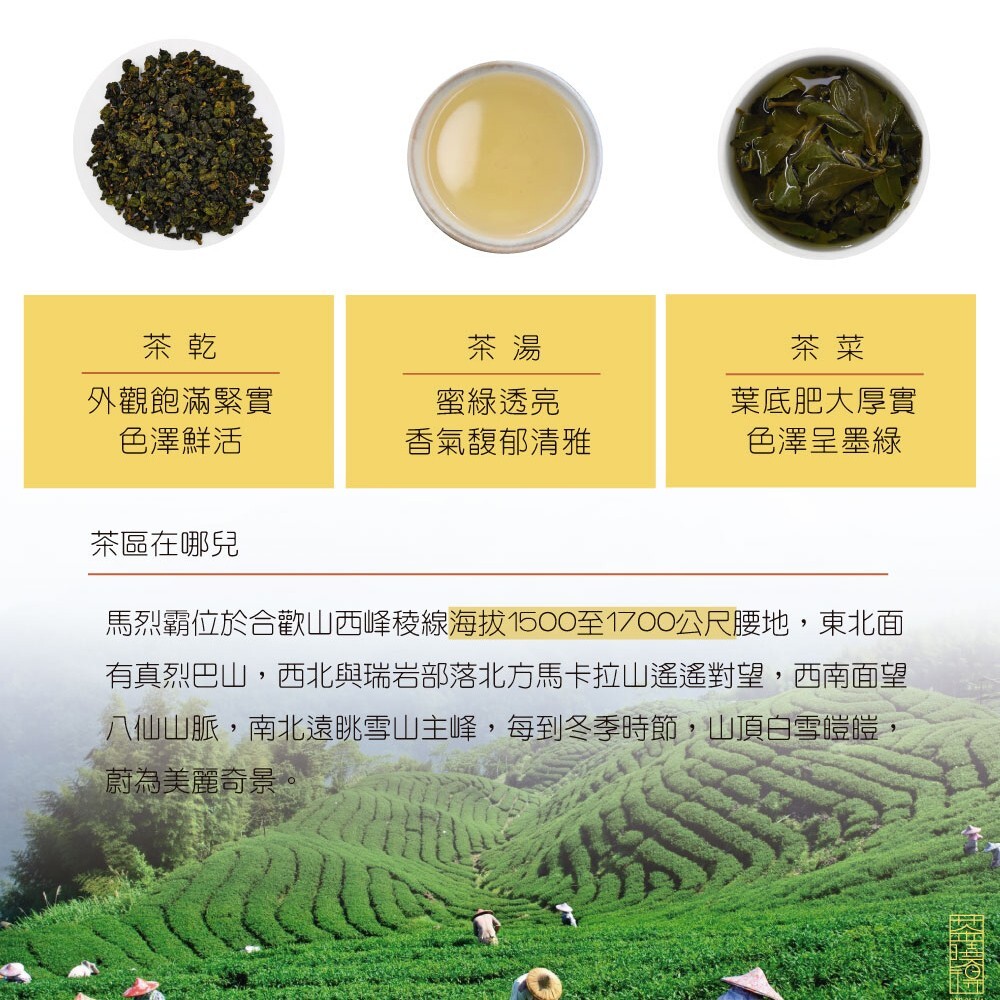 台灣特色茶 梨山馬烈霸冷甜厚實烏龍茶 75gx4