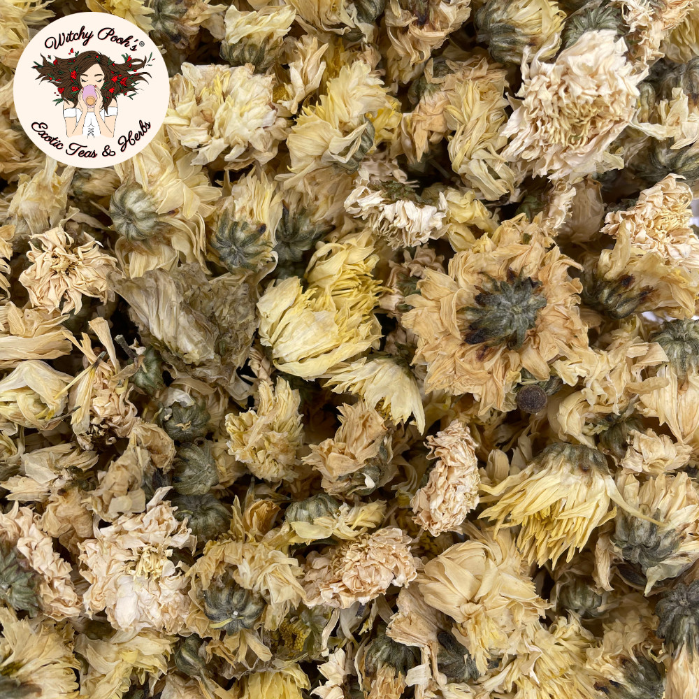 Witchy Pooh’s Chrysanthemum Tea – Whole Flowers, Caffeine Free