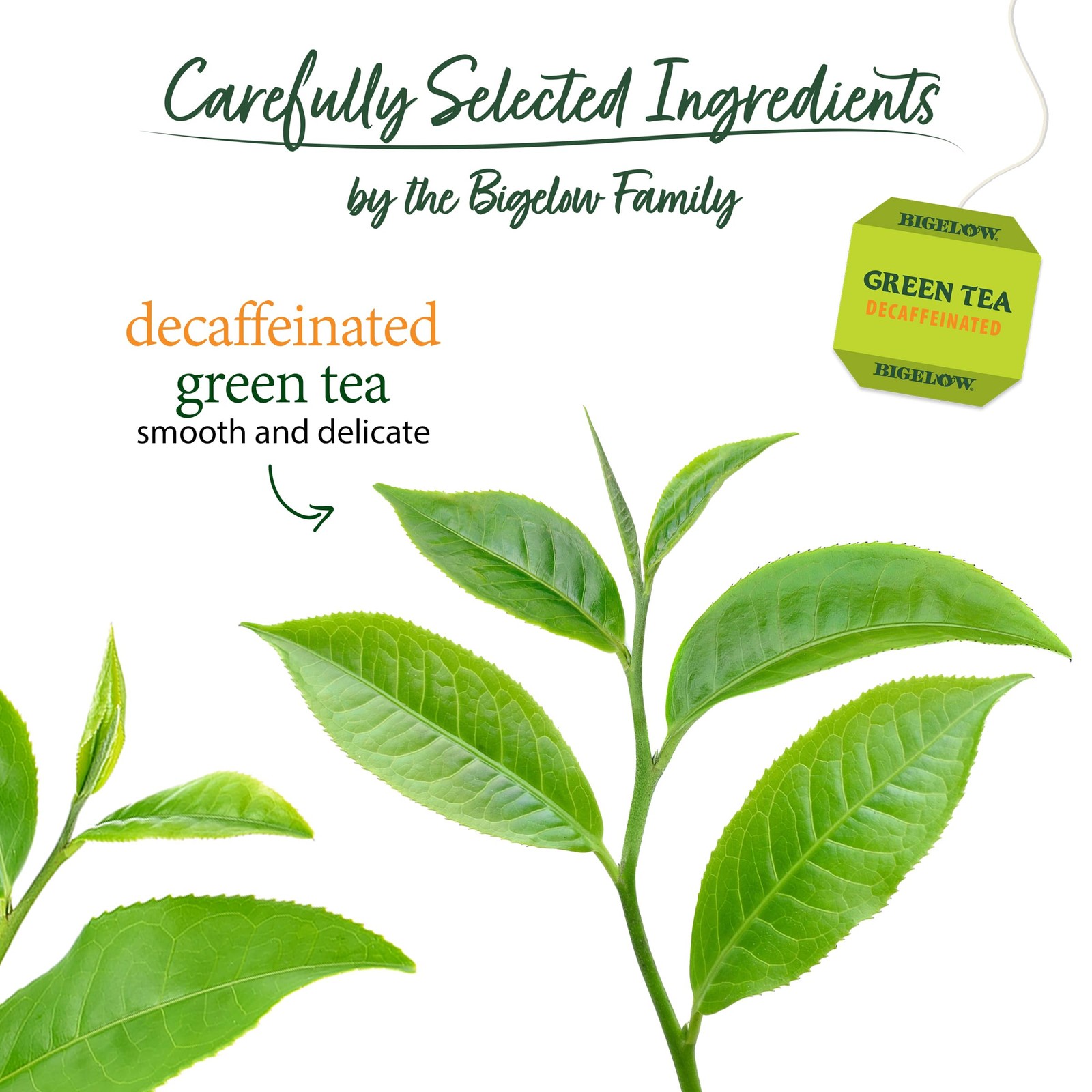 Bigelow Decaffeinated Green Tea Bags, 20 Count Box (Pack of 6) Decaf Green Tea,