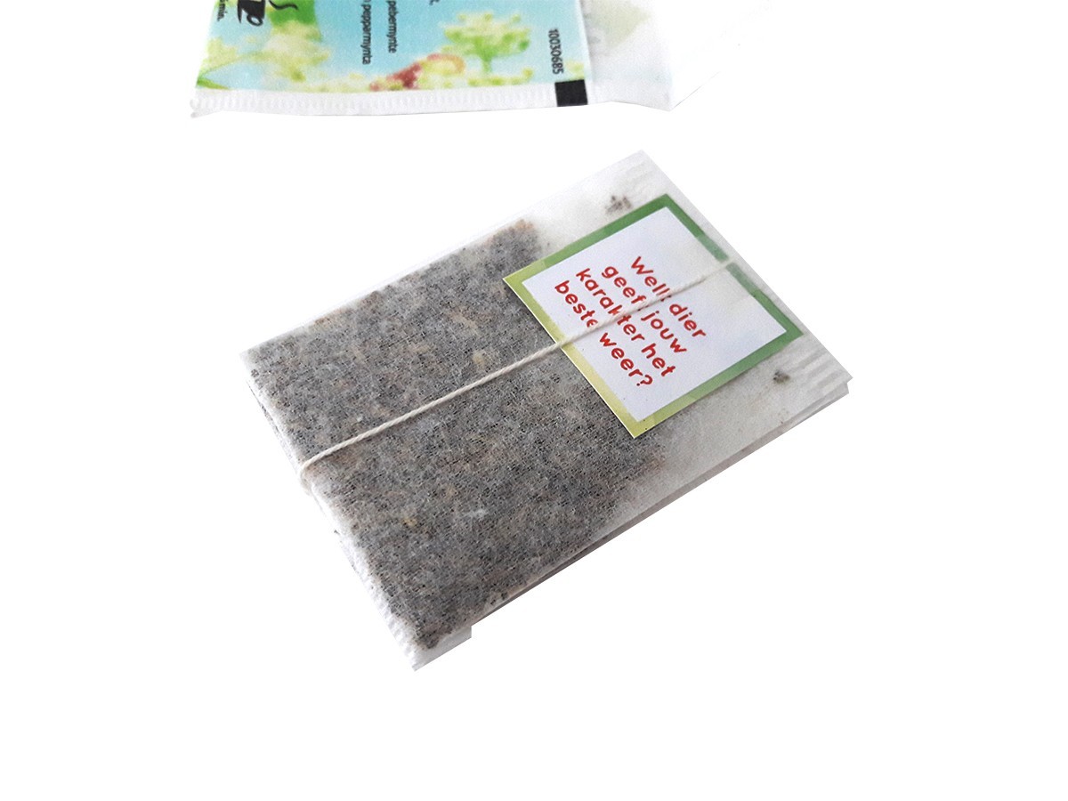 FREE SHIPPING 240x Pickwick tea envelope – herbal, spices, mint Turkish apple
