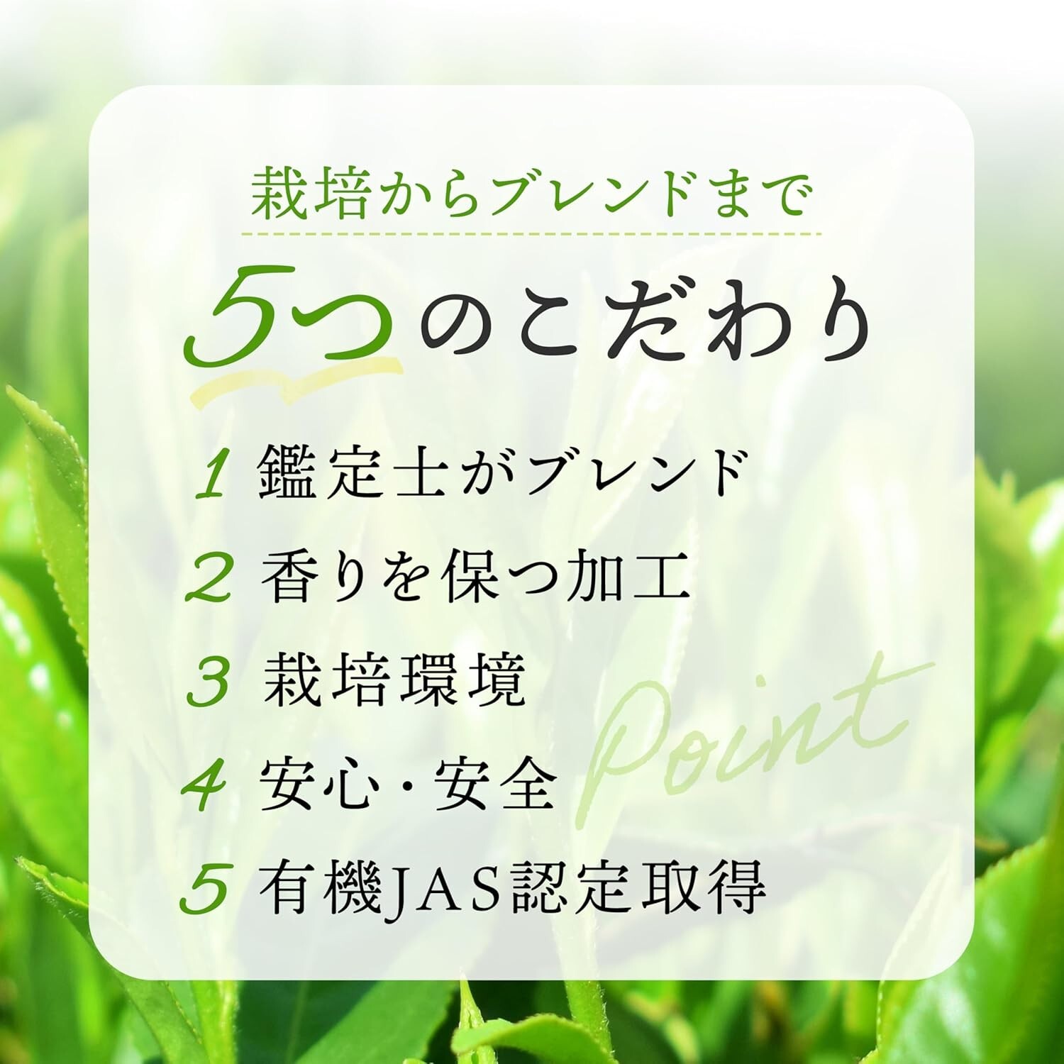 Japanese Organic Green Tea Sencha From Japan Kyoto YAMASAN 80gx3set