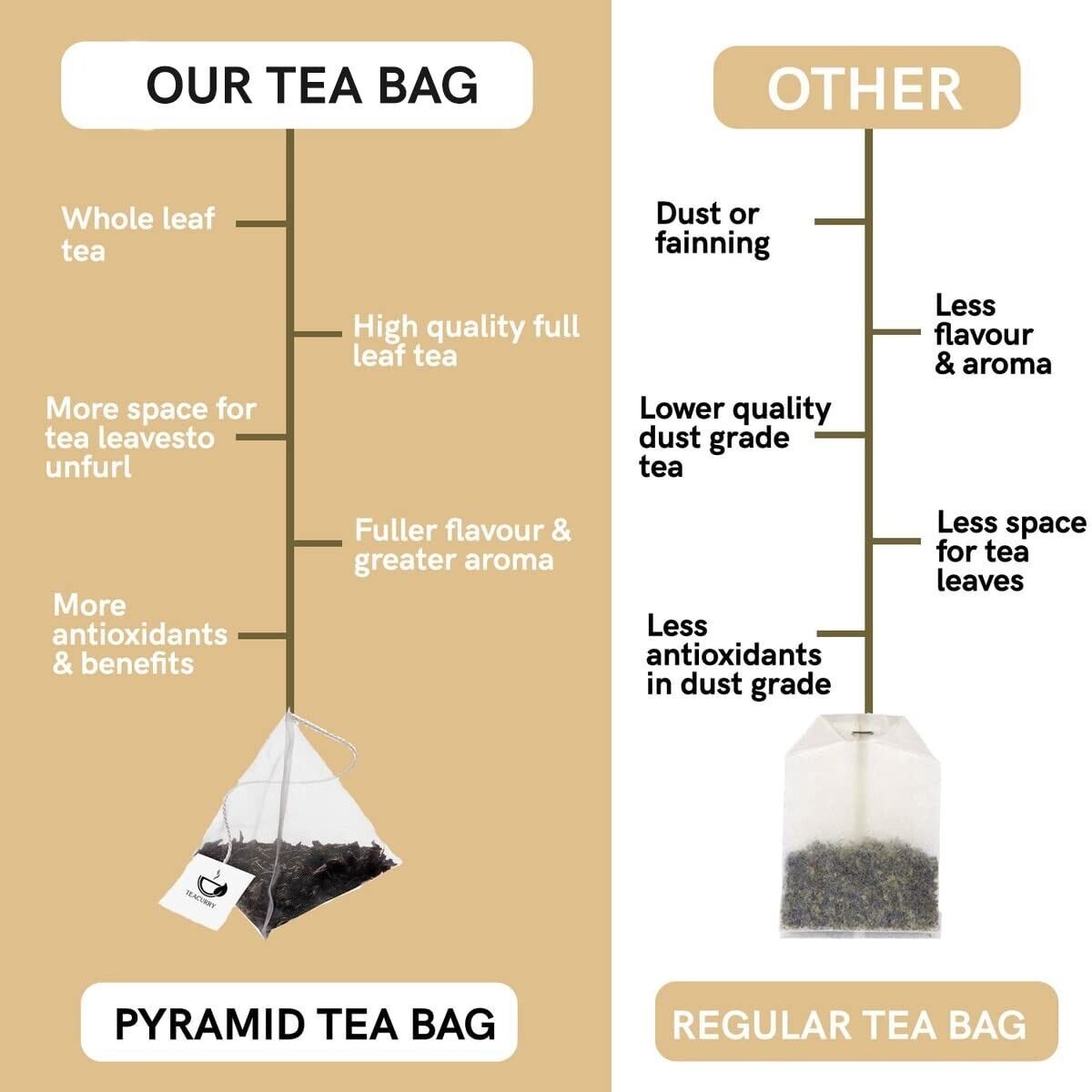 TEACURRY CCF Tea – 30 Tea Bags, CCF Detox Tea for digestive health, skin