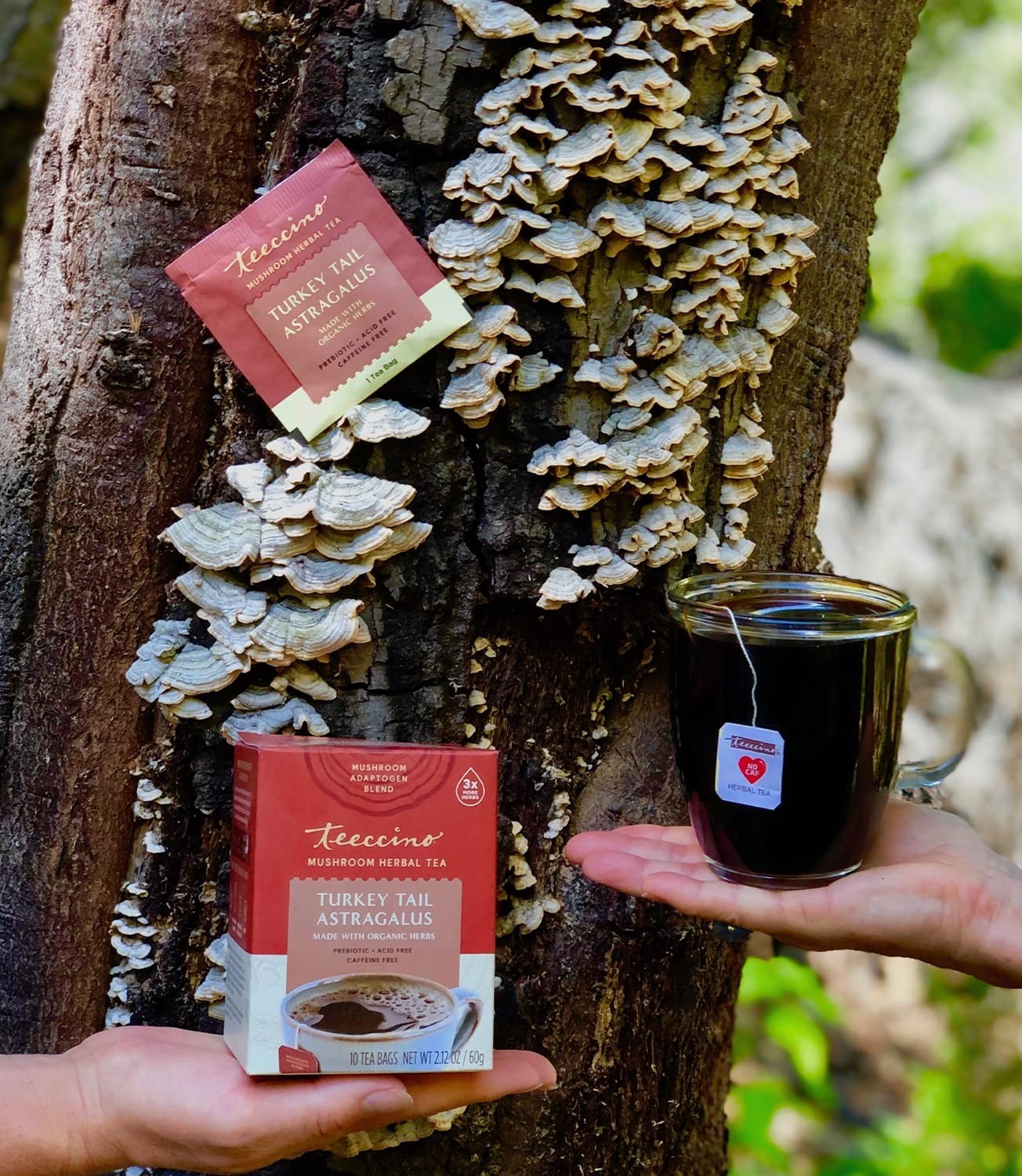 Mushroom Herbal Tea Turkey Tail Astragalus Toasted Maple Caffeine Free, Pre…