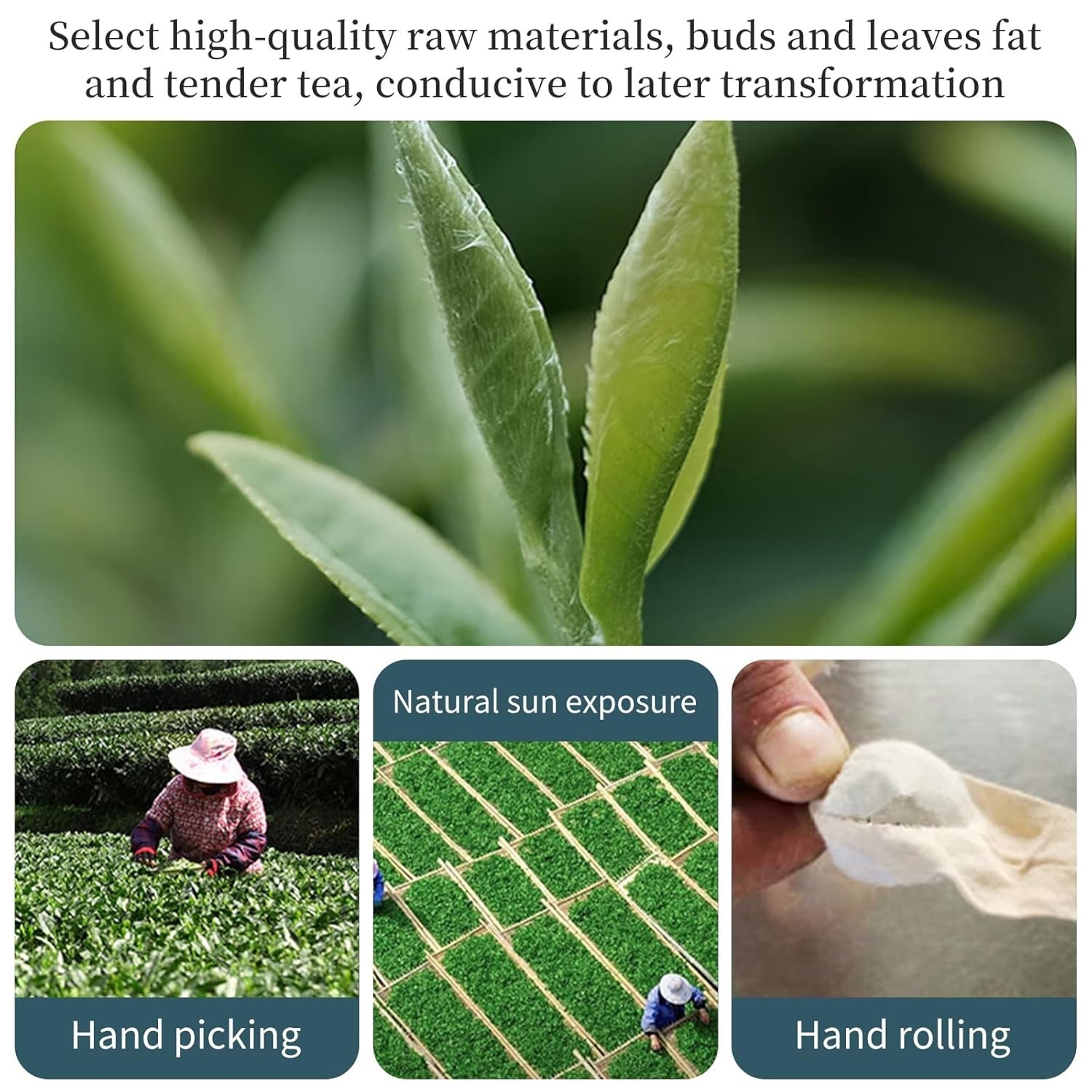 Shou Mei Fuding Chinese White Aged Tea Dragon Pearls 200g