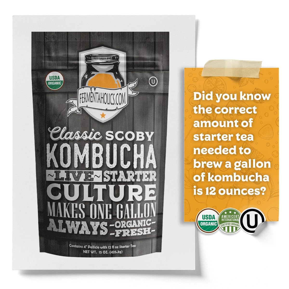 Organic Kombucha Starter Kit 15oz SCOBY Makes One Gallon Brew at Home