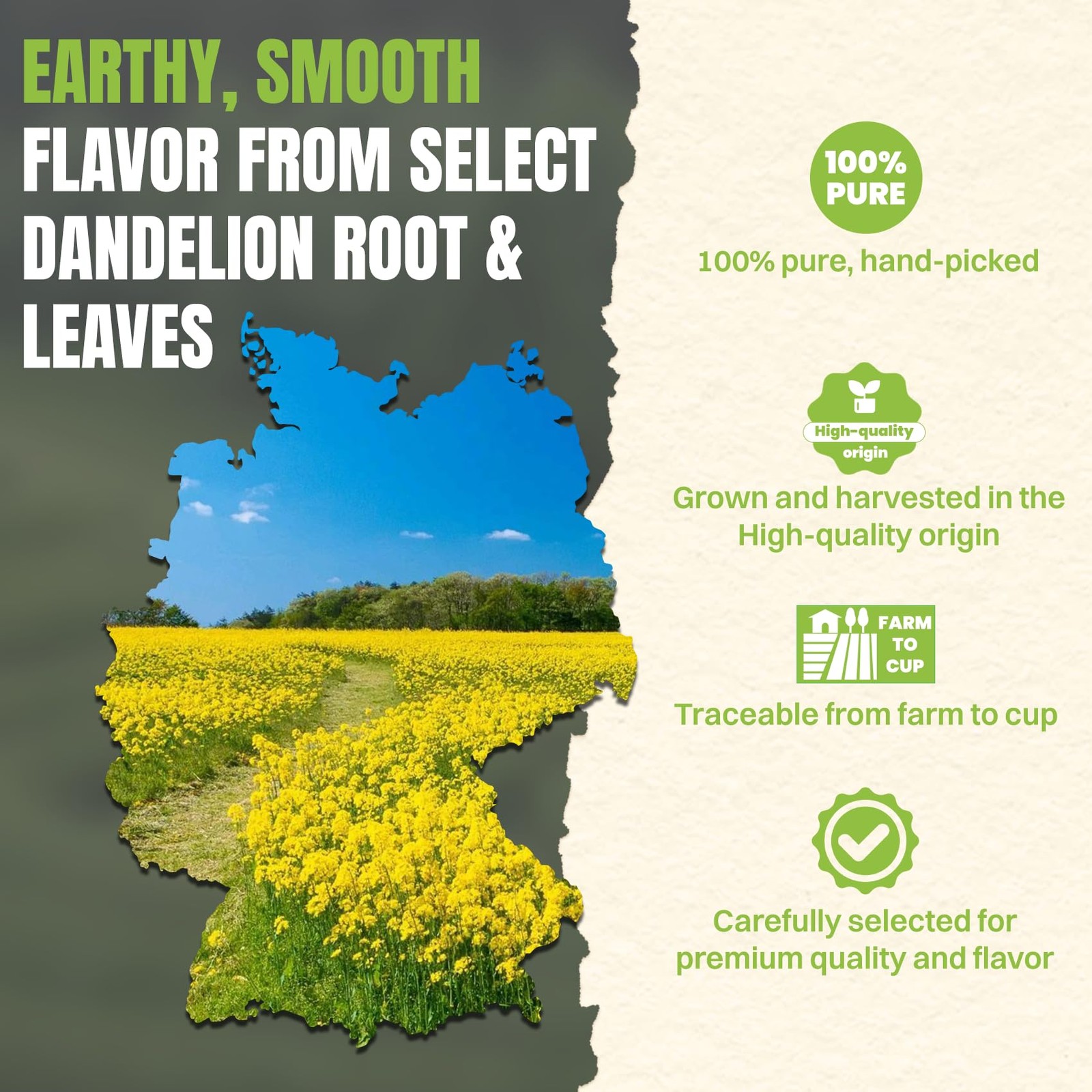 Hiihone Dandelion Root & Leaf Tea Bags 60 Count – Caffeine-Free Dandelion Herbal