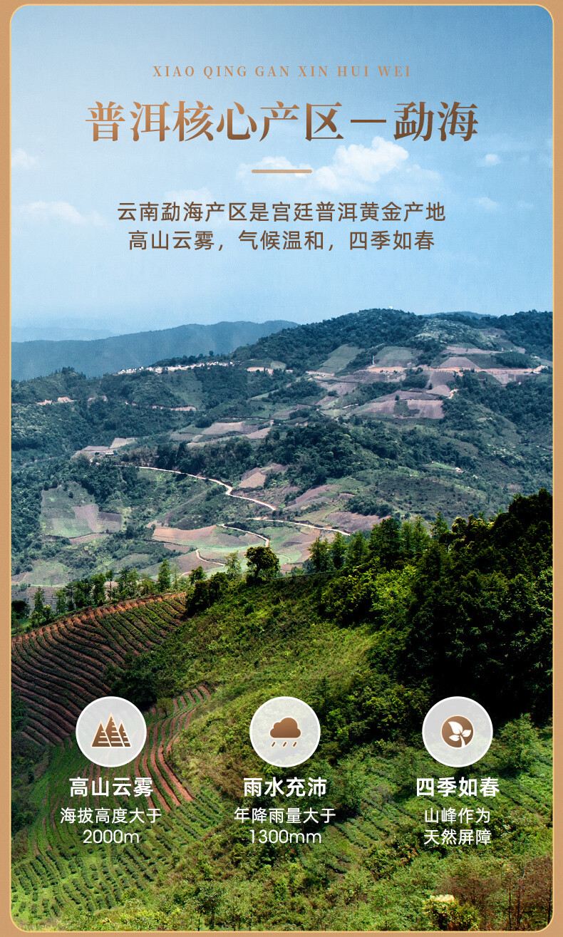 Xiao Qing Gan Chenpi Pu’er Orange Yunnan Pu-erh Tea Stuffed Tangerine Ripe 230g