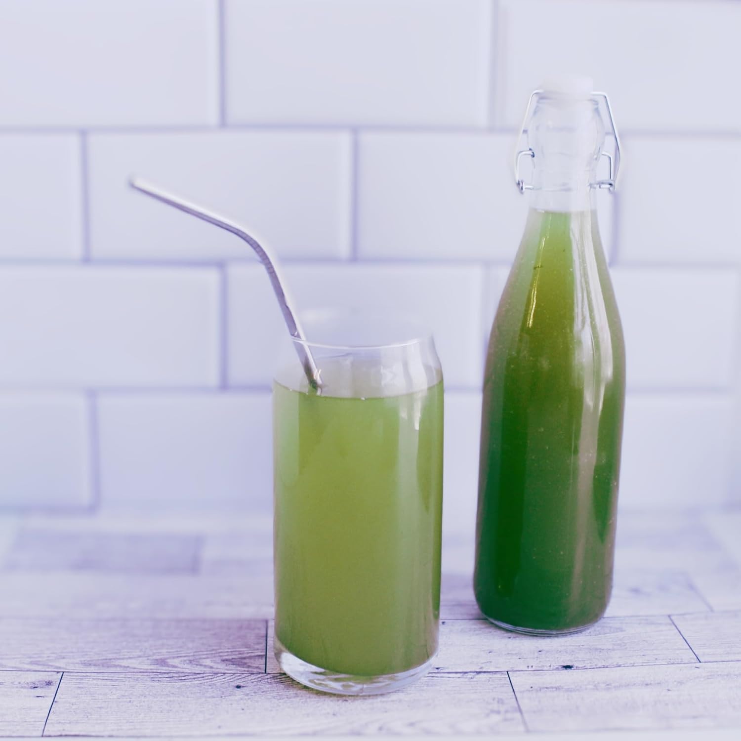 Matcha Kombucha Scoby Starter Kit with Starter Tea to Ferment Culture Healthy