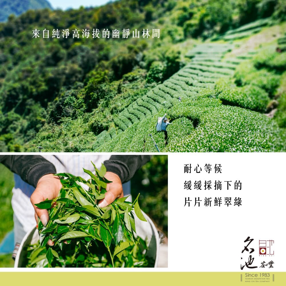 台灣特色茶 手採凍頂烏龍高冷茶葉 150gx4