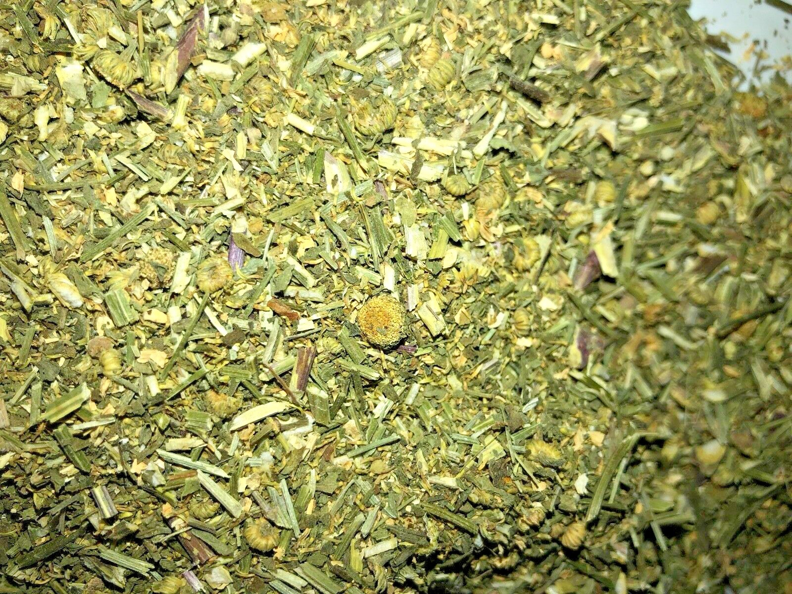 Feverfew Certified Organic Natural Headache Pain Herb Leaf