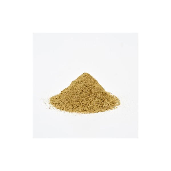 morihan Rich Houjicha Powder 500g Sweetened type from Japan