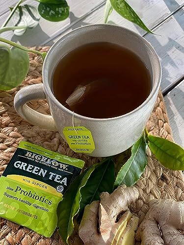 Bigelow Green Tea with Ginger Plus Probiotics Pack of 6 Gluten Free Tea Bags