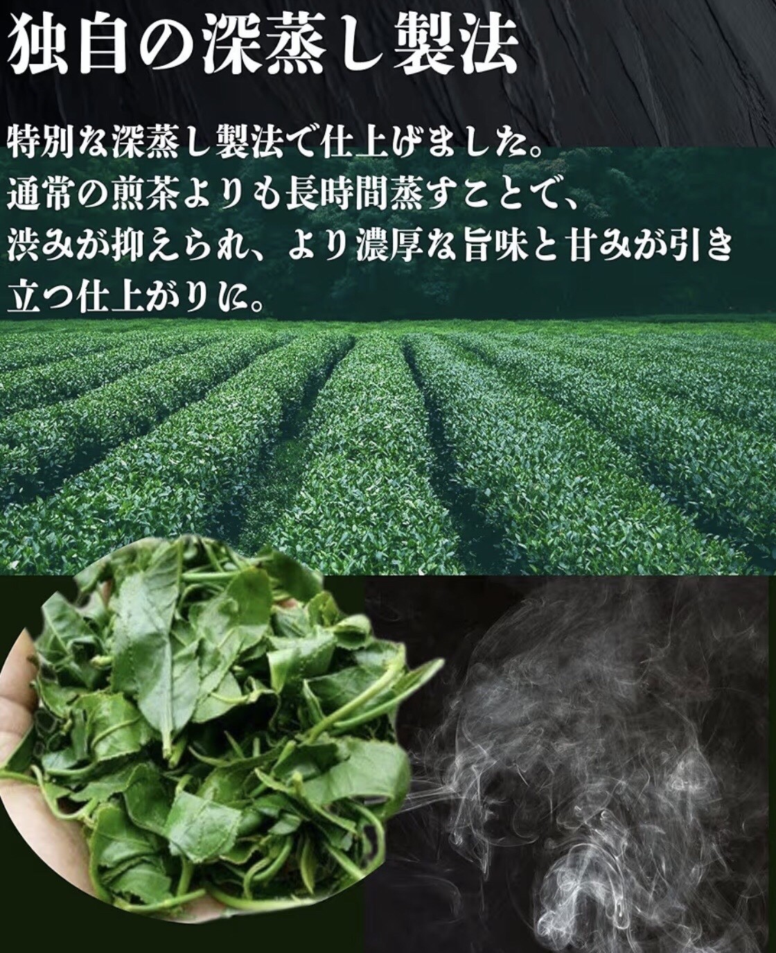 Kita Seicha Tokumaro Deep Steamed Sencha 200g | Ise Green Tea Japan