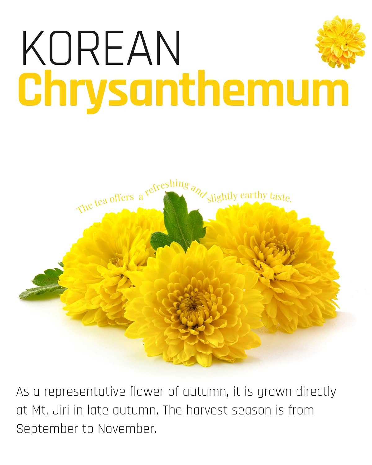 Chrysanthemum Floral Tea 0.7Oz. 20G (0.5G X 40 Tea Bags) Herbal Tea Flower Sweet