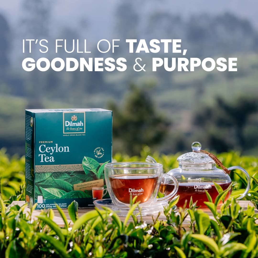 Ceylon Tea Dilmah Premium Quality 100 Tea Bags New