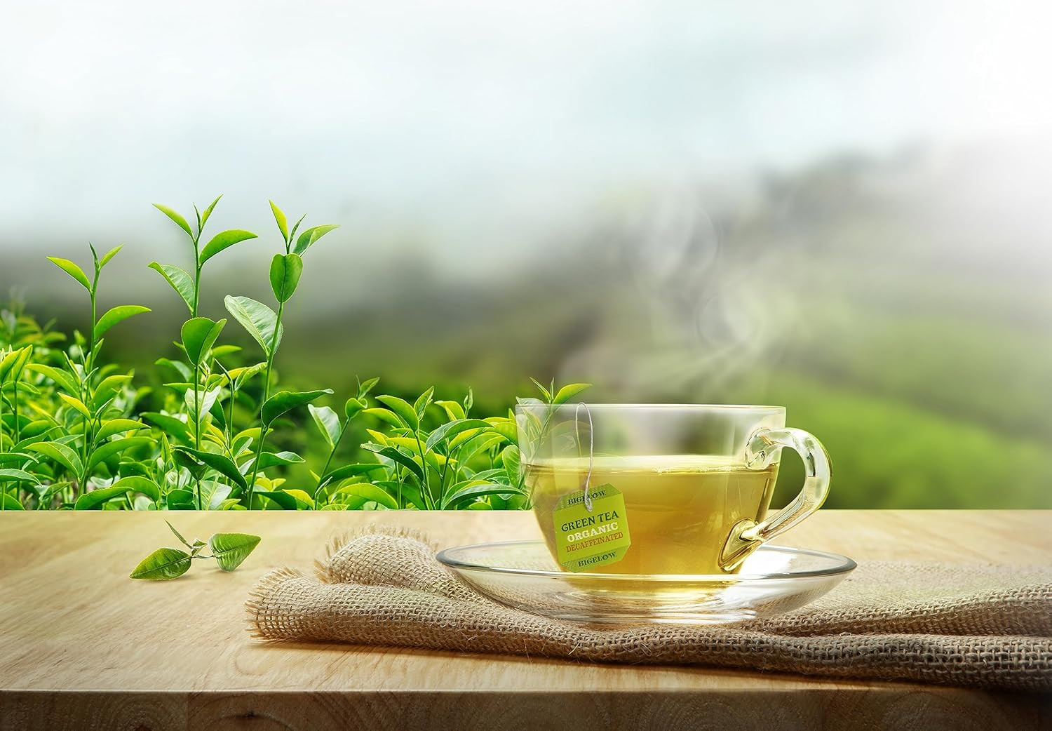 Bigelow Organic Decaffeinated Green Tea, 40 Count (Pack of 6), 240 Total Tea Bag