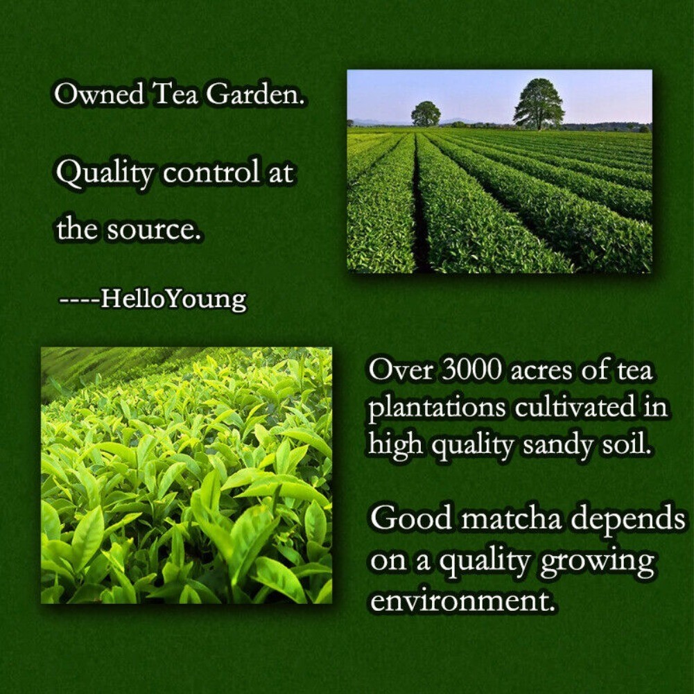 Organic Matcha Green Tea Unsweetened Natural Detox Energy Boost 250g