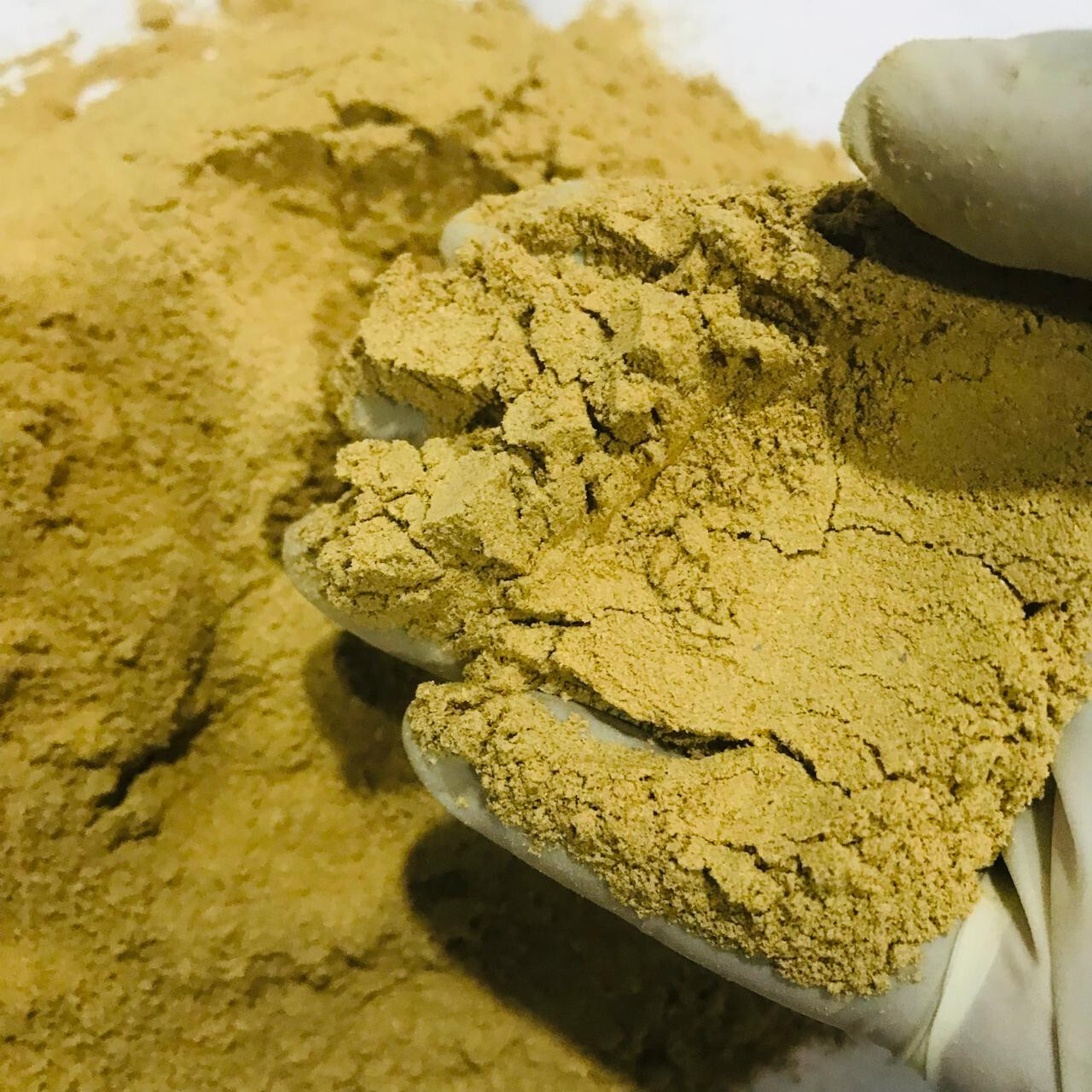 Dried Blue lotus Powder Organic Pure Quality Nymphaea Caerulea Flower Herbal Tea