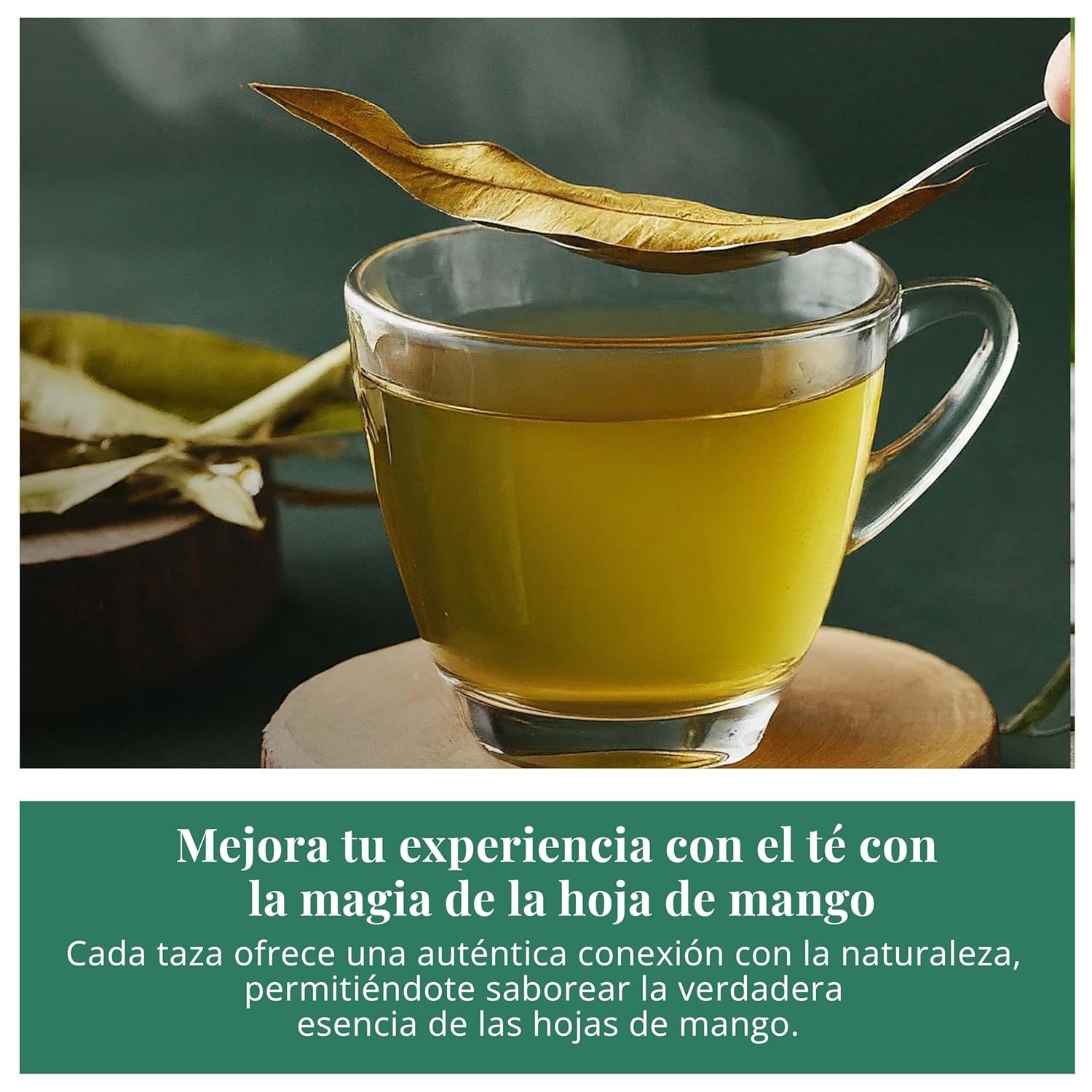 80 Organic Immune Booster Tea Bags, Moringa Peppermint Tea, Immune Herbal Tea