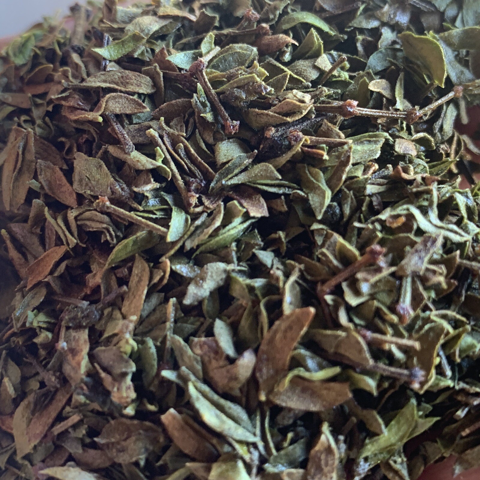 CREOSOTE CHAPARRAL Greasewood 1 Bag x 3.5oz (100g) HOT/COLD Healing Native Tea