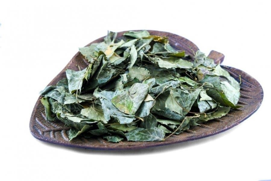 Ivy Leaf Tea (Hedera helix) from Albania – 100% Natural Herbal Respiratory Tea