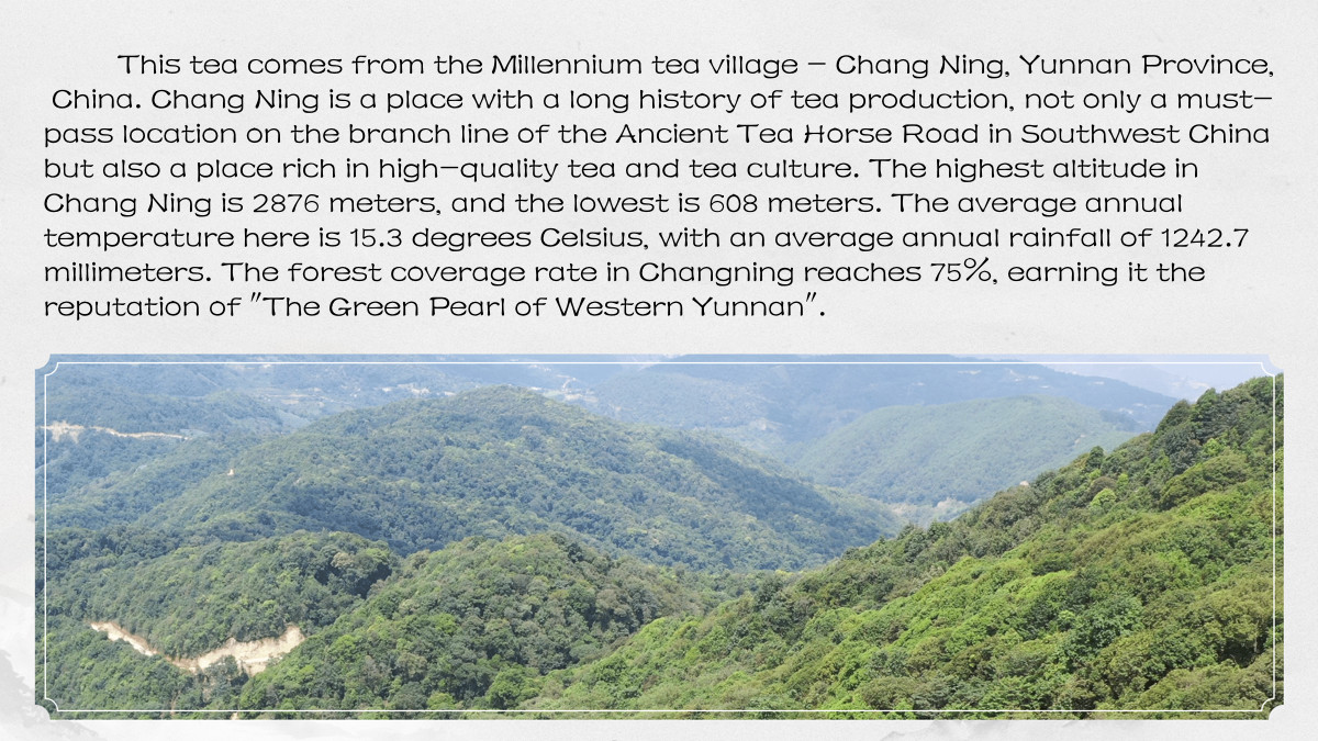 Yunnan Dian Hong Black Tea/Ripe Aged Pu-erh Tea (Fermented) Old Tree Loose Leaf