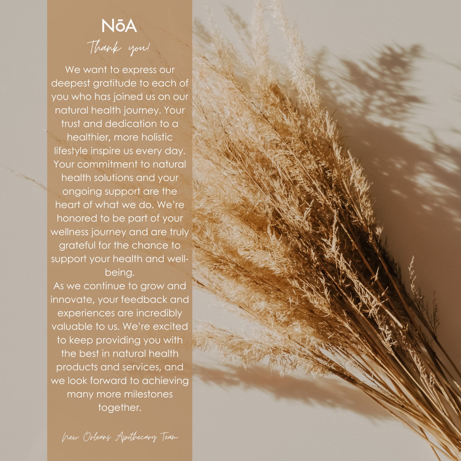 Dandelion Root 100% Pure Organic Dried Cut and Sifted (Taraxacum Officinale)