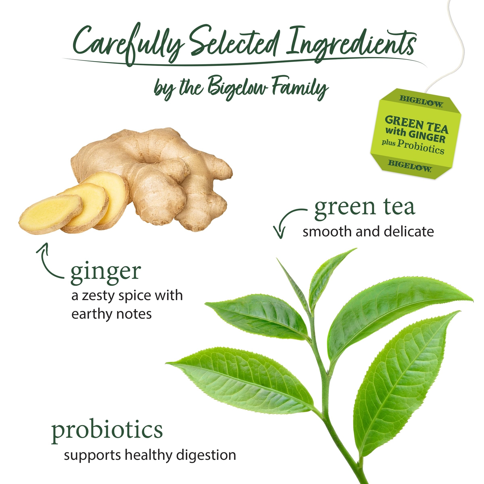 Bigelow Green Tea with Ginger Plus Probiotics Pack of 6 Gluten Free Tea Bags