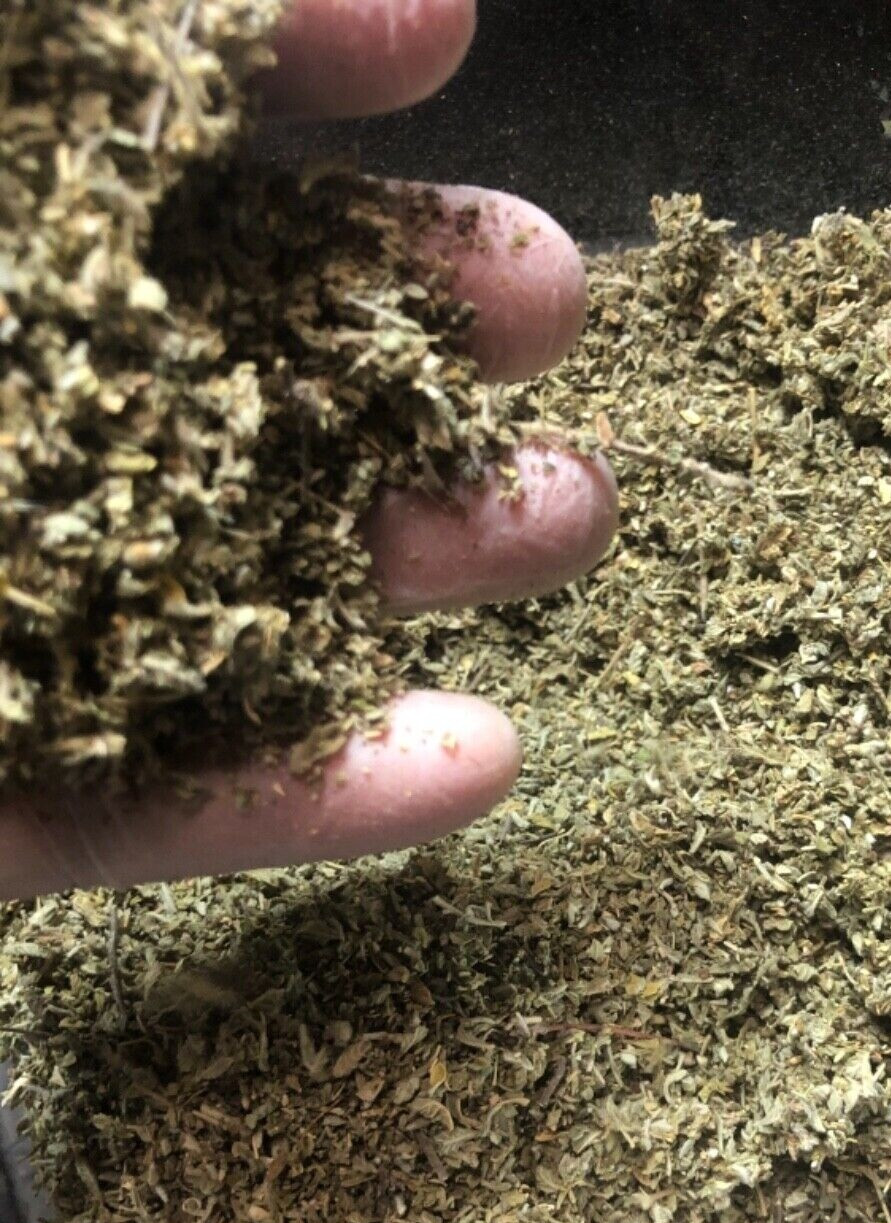 DAMIANA -bulk leaf ORGANIC cut herb c/s wild crafted 2 LB’s POUNDS (32 ounces)