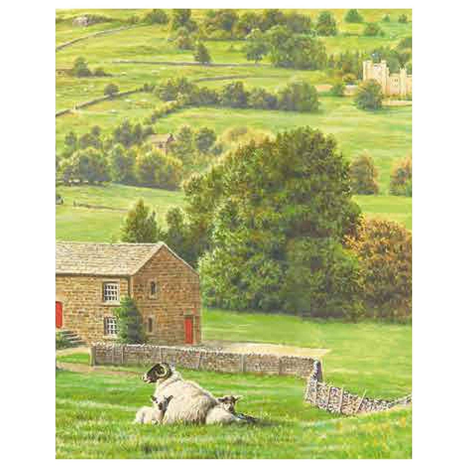 Taylor’s of Harrogate Yorkshire Tea Decaf