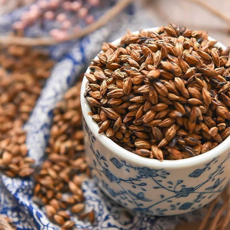Roasted Barley Tea Caffeine-Free Tea Itoen Japanese Roasted Barley Tea Mugicha