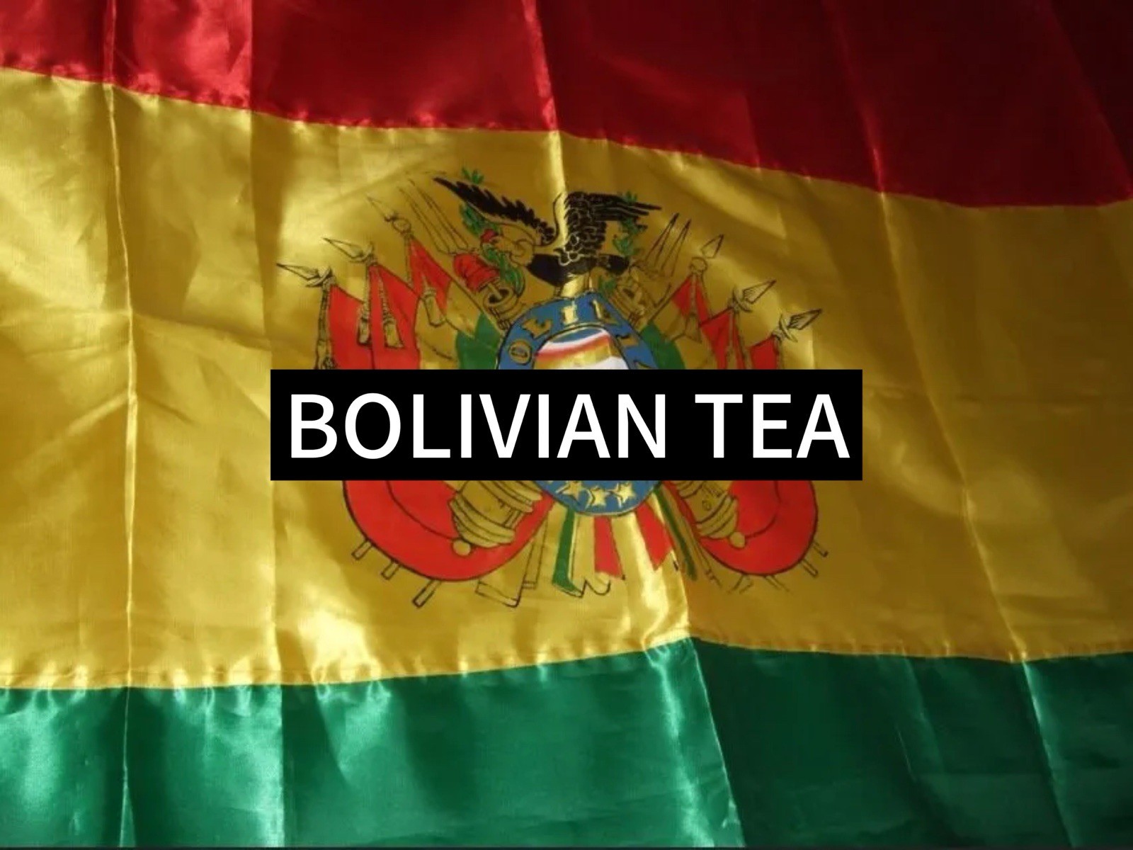 Mate De Coca Bolivian Tea WINDSOR BRAND 100 TEABAGS (VERY RARE)
