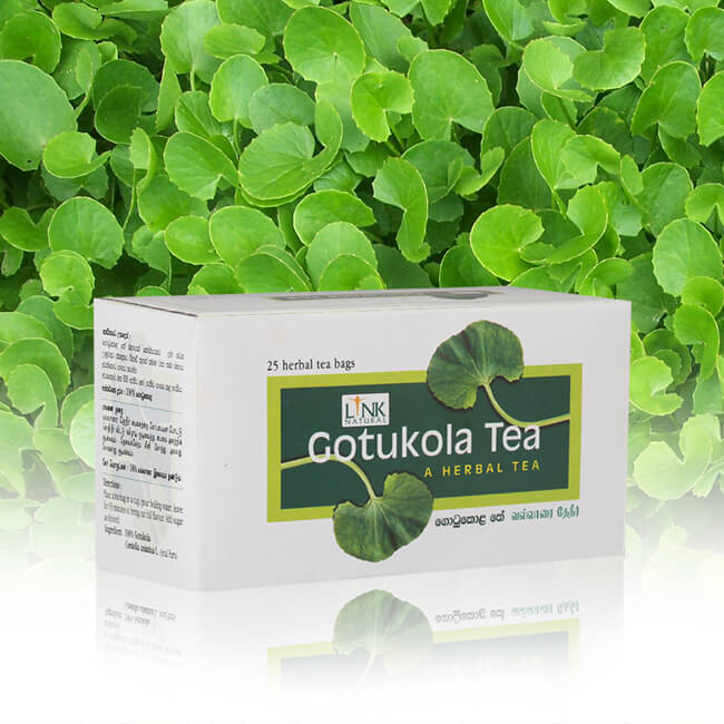 Link Herbal Tea 25 bags GotuKola Centella Asiatica Memory 100%-POSITIVE-SELLER