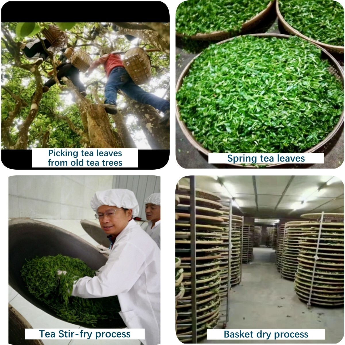Yunnan Changning Pu-erh Tea/Compressed & Squared Raw Tea/Easy to carry and break