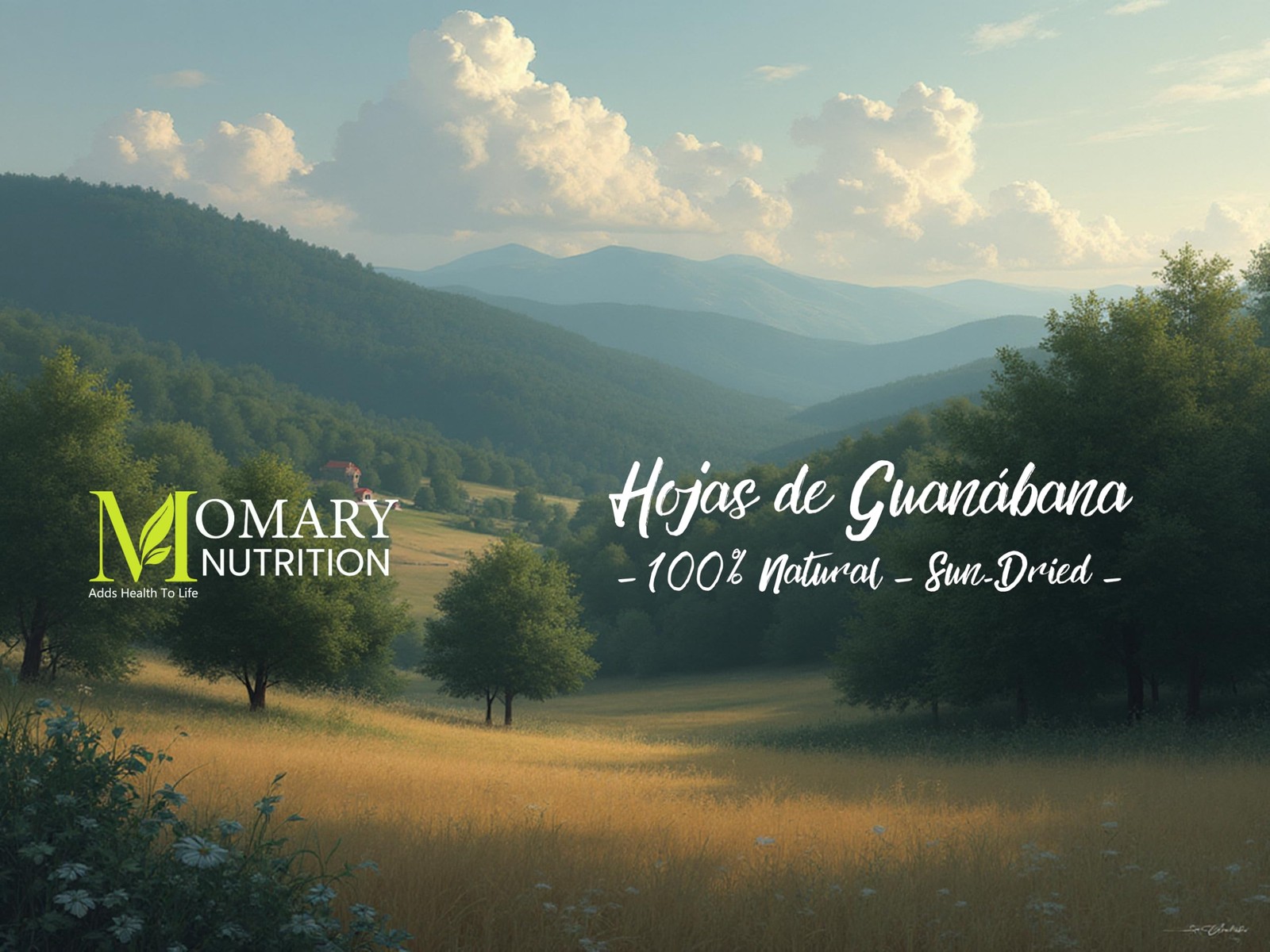 Herbal Tea – Soursop Leaves – Hojas de Guanabana – Annona muricata | 100%…