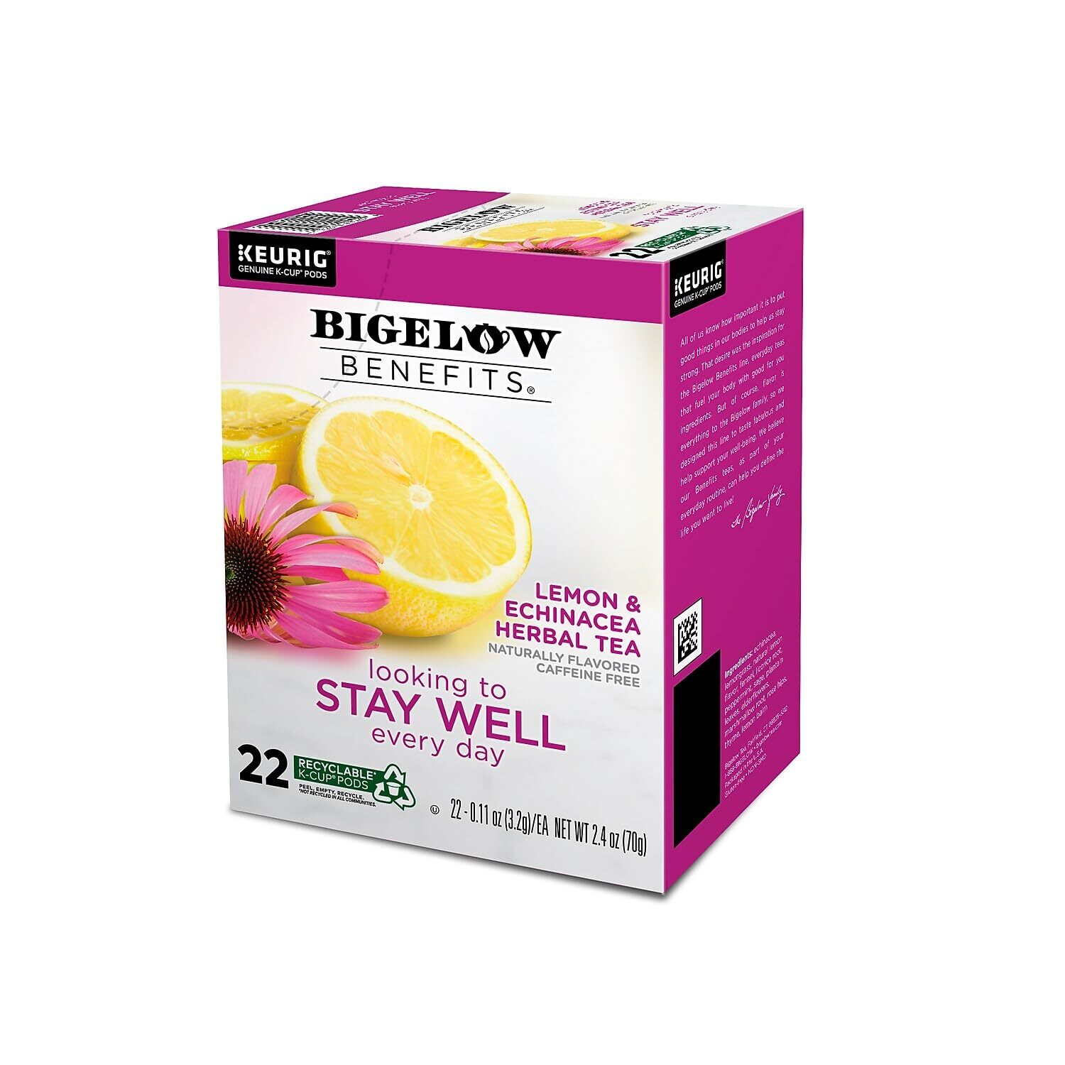 Lemongrass Echinacea Elderflower Rose Hips Herbal Tea for Healthy Living