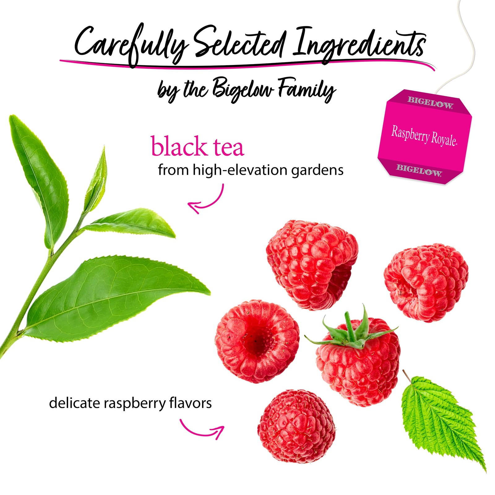 Bigelow Tea Raspberry Royale Black Tea Caffeinated with Raspberry 120 Total Bags