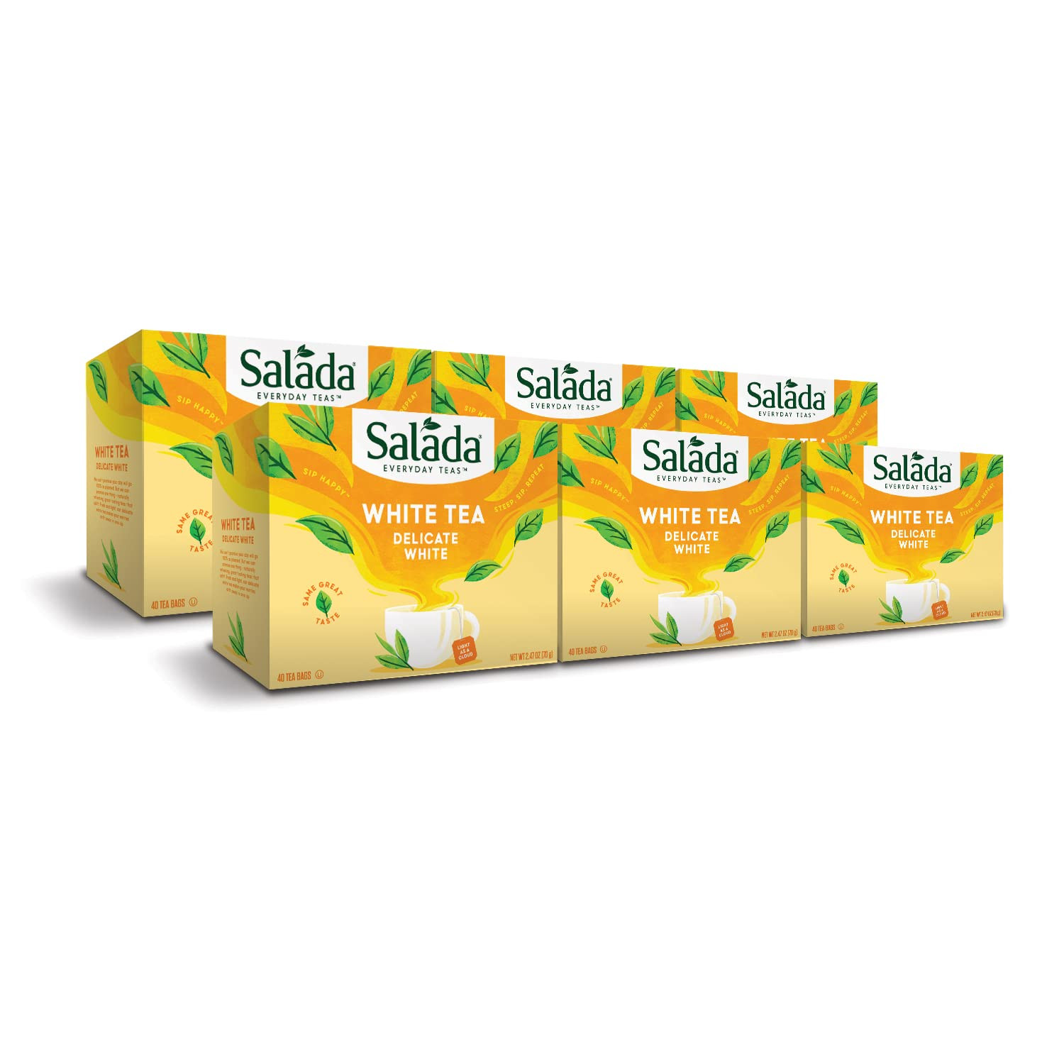 Salada Pure White Tea, 40-Count Packages (Pack of 6)