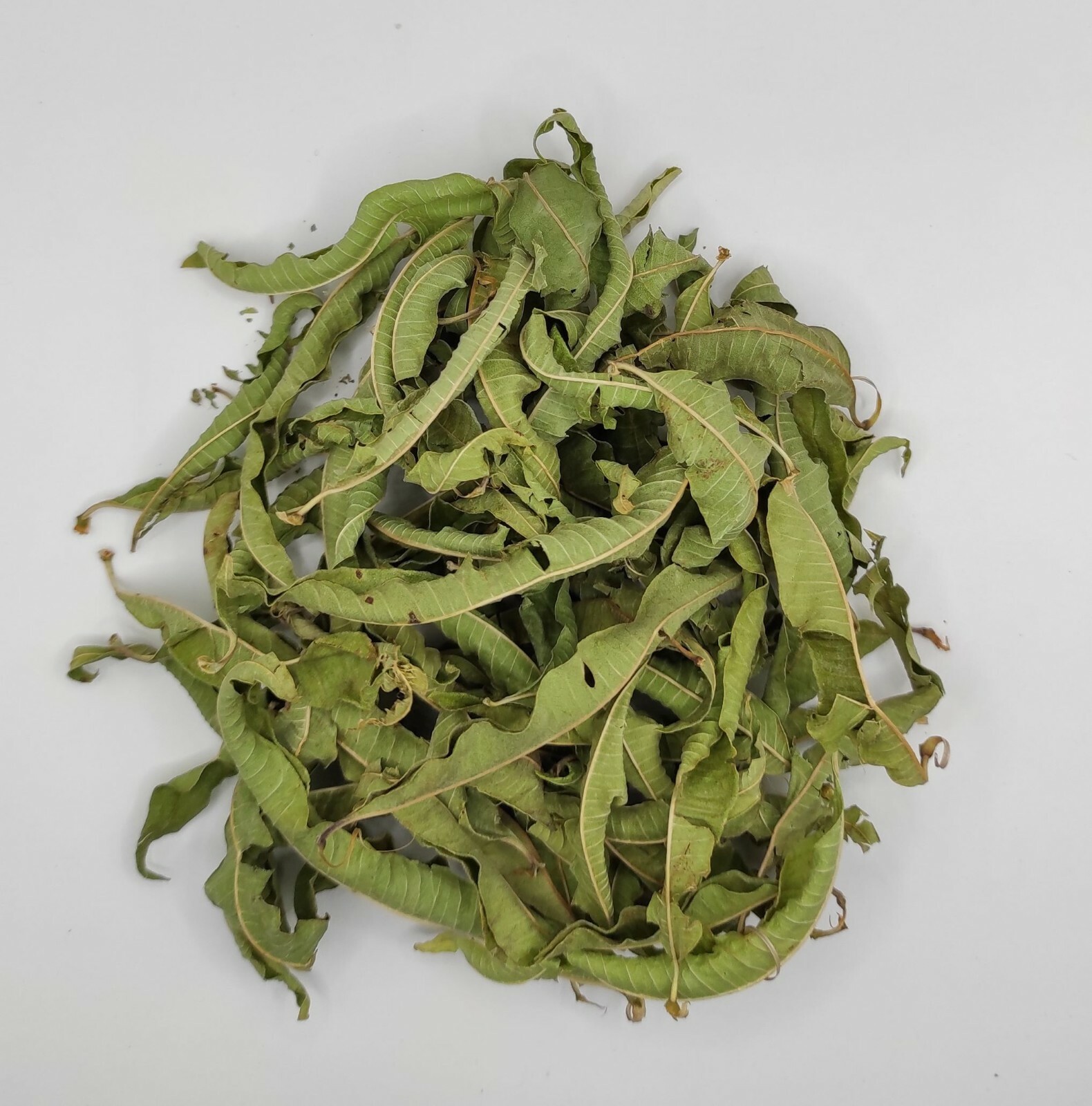 Greek Lemon Verbena Dried Whole Leaves 85 grams(3.1oz) Harvest June 2024
