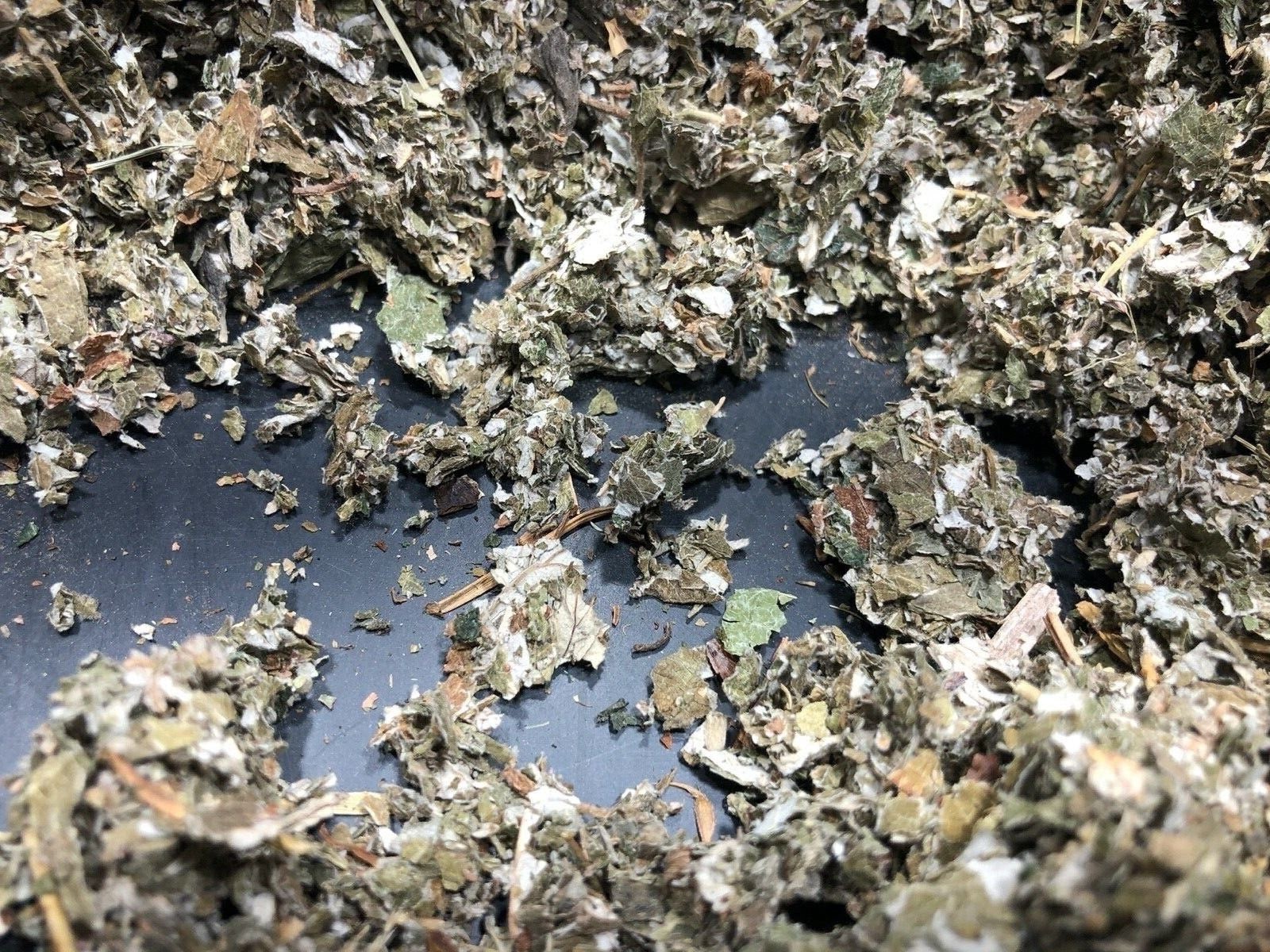 RED RASPBERRY Leaf Herb (1 oz ounce) Organic wild crafted 100% Natural