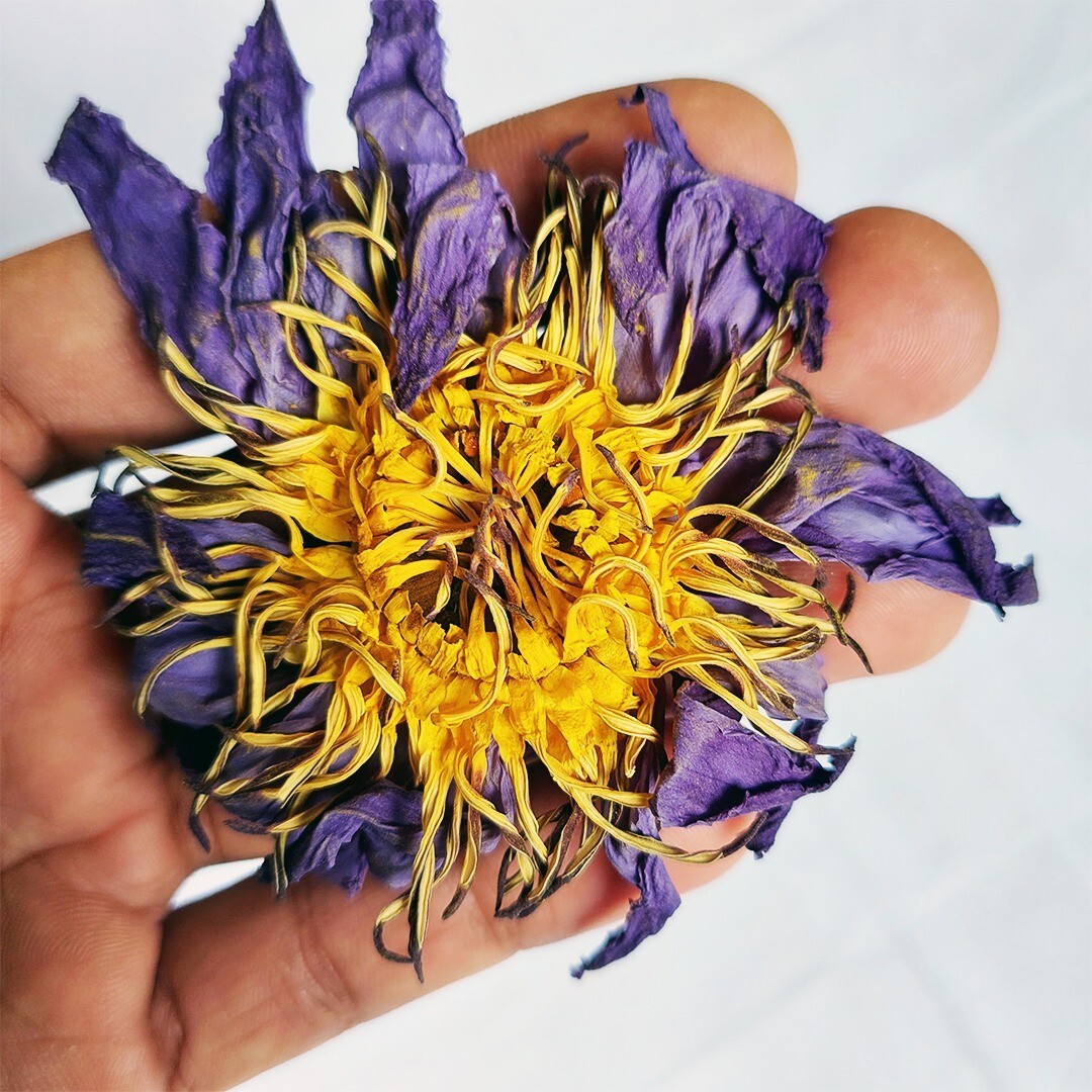 Organic Blue Lotus (Nymphaea Caerulea) Herbal Tea, 100 g – Hand‑Picked, Natural