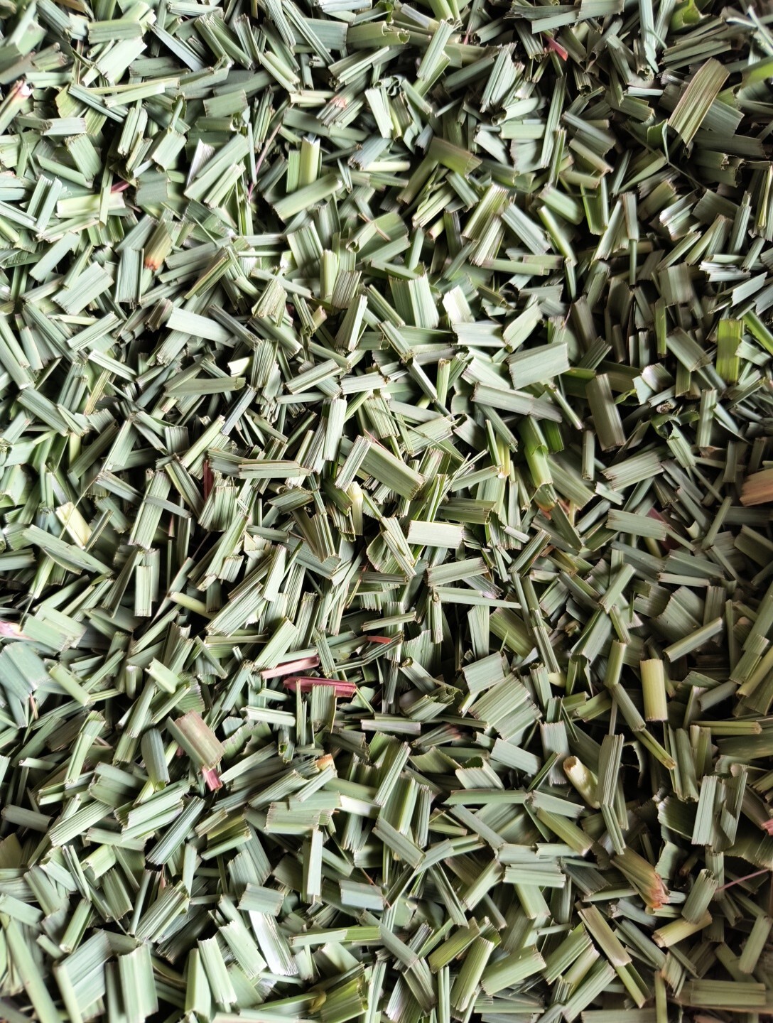 Organic Naturally Dried Cut LEMON GRASS – 6 Oz