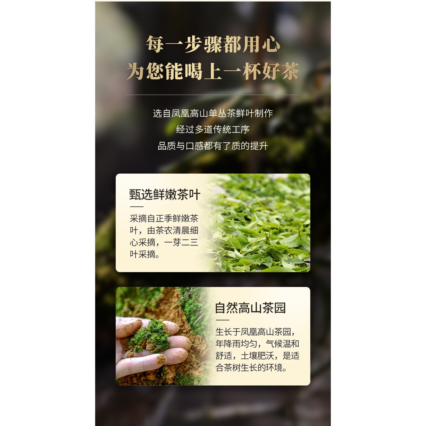 Phoenix Dancong 鳳凰單叢,鸭屎香,傳統炭焙,重火,500g