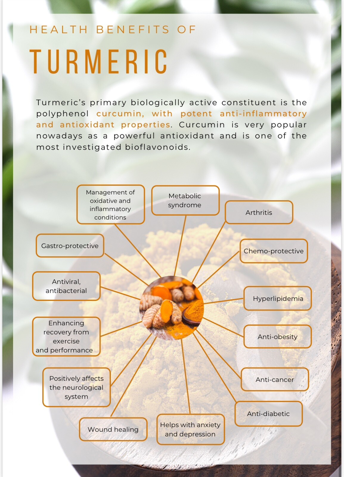 Kangen Ukon Turmeric Tea 60 Bags Per Box (5 Boxes) 100% Organic + Supplements