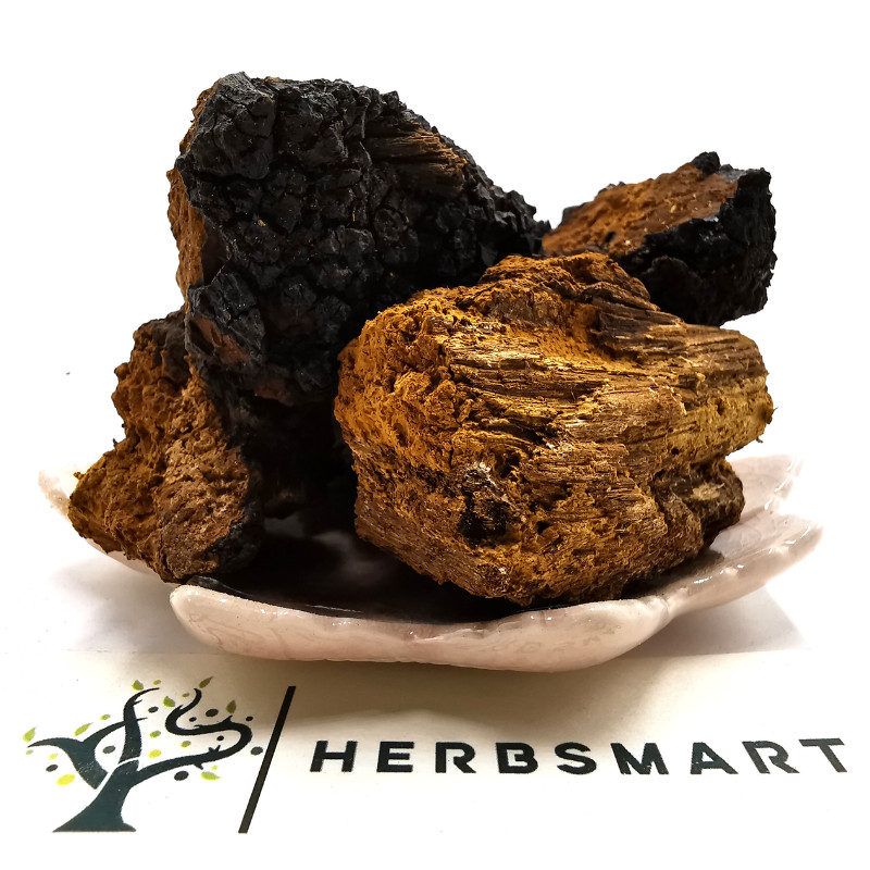 Chaga Mushroom Chunks / Fresh and 100% Natural / Perfect for Tea or Supplements
