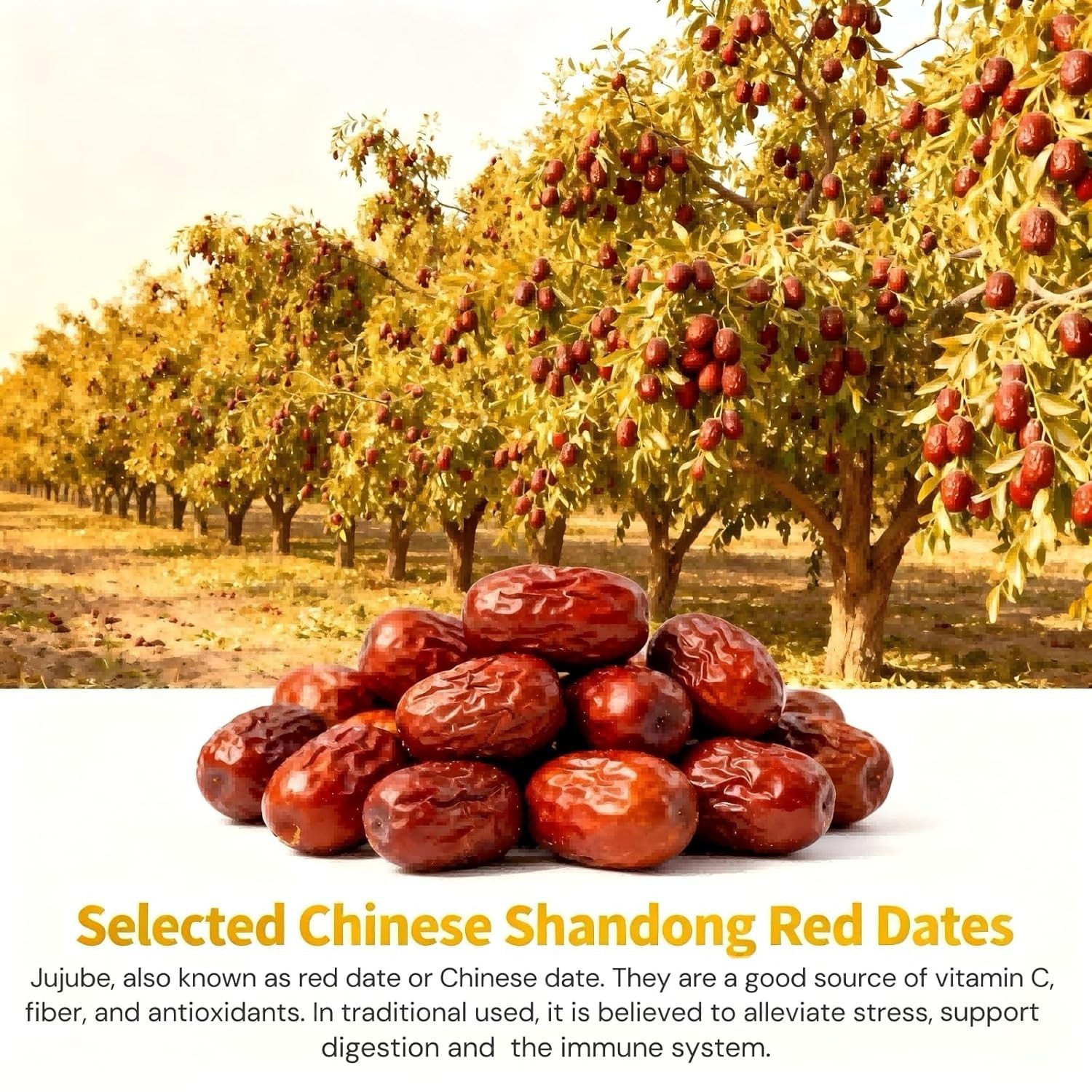 Chamomile Goji Berry Jujube Date Sleepy Time Tea, 5g x 20 Teabags Caffeine-Free