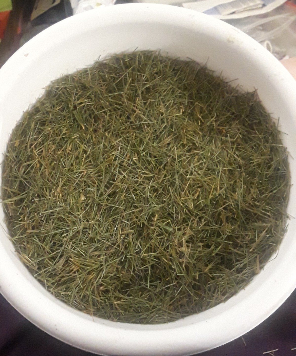 Lot: 30/31 PC Organic Eastern White Pine Needle Tea Bags Fresh Harvest Pack Bag
