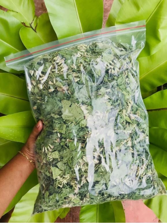 Mexican Dream Herb Calea Zacatechichi | Organic Hand-Picked Leaves for Tea