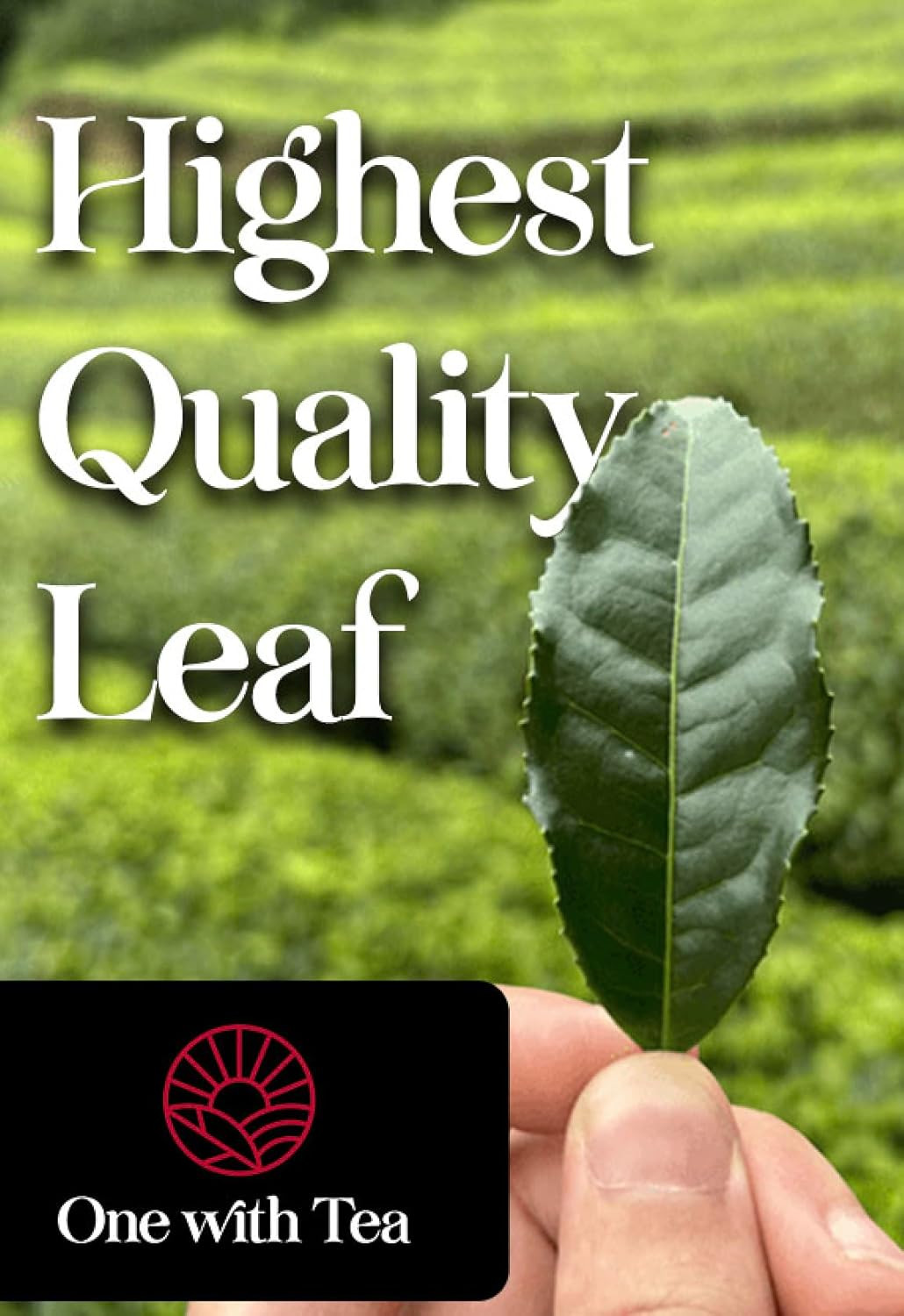 Organic Japanese Genmaicha with Matcha Green Tea Loose Leaf – Premium Whole Leaf